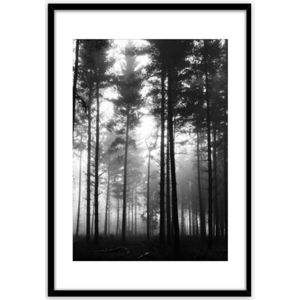 Obraz Framepick 50x70 Forest