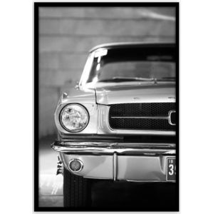 Obraz Framepick 50x70 Mustang