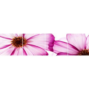 Skleněný panel 60/240 Flowers-1 4-Elem
