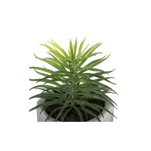 Umělá rostlina Aloe vera v květináči, 8x17cm,více druhů